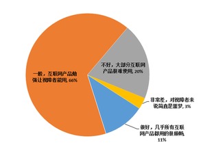 消除數(shù)字鴻溝 國內(nèi)互聯(lián)網(wǎng)無障礙水平尚待提高